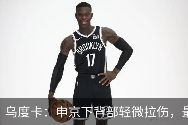 乌度卡：申京下背部轻微拉伤，最多缺席几场