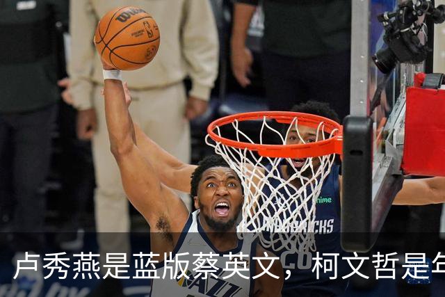 卢秀燕是蓝版蔡英文，柯文哲是年轻版宋楚瑜，郑丽文是激进版连战