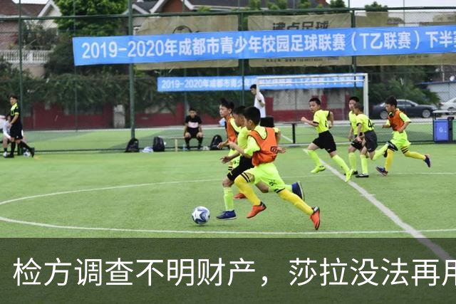 检方调查不明财产，莎拉没法再用“政治迫害”一笔带过